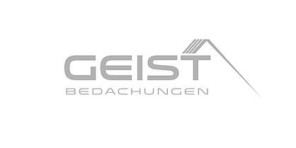 Logo Platin-Partner Geist